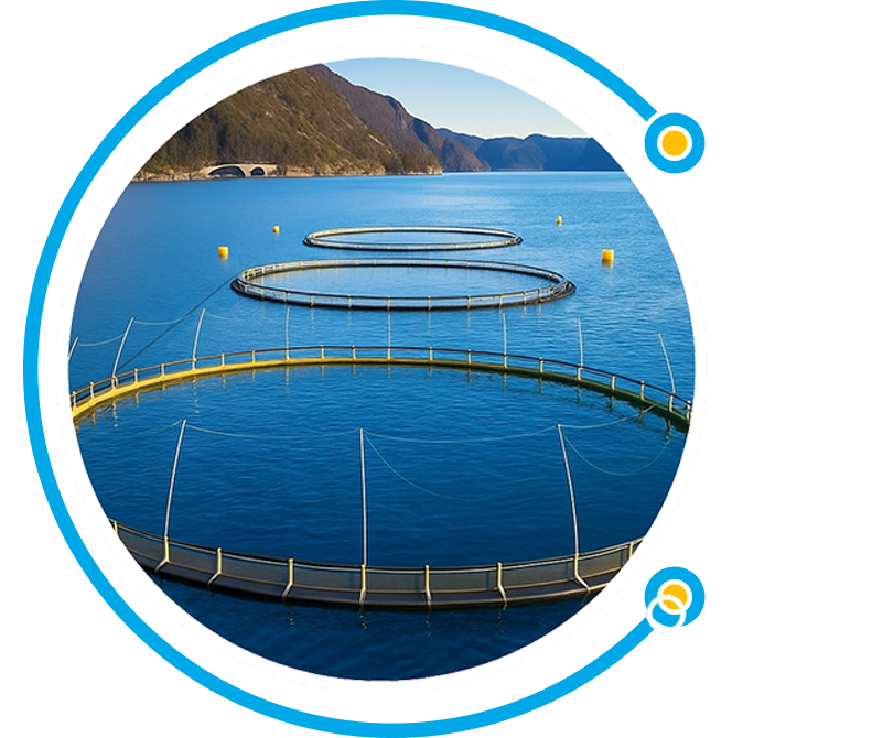 Biozing Laboratory and R&D Facility