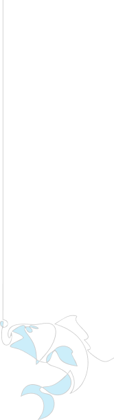 Decorative shrimp vector for aquaculture theme