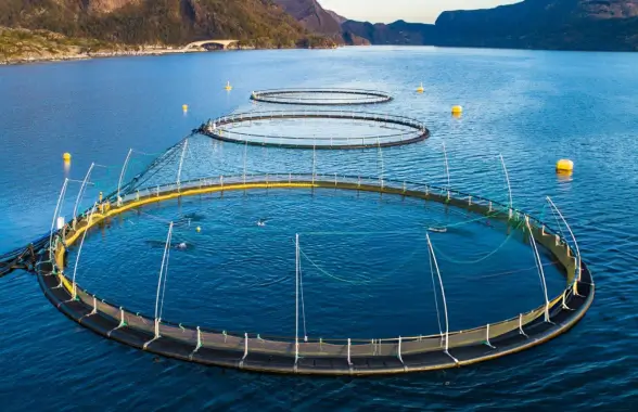 Biozing Vision and Mission