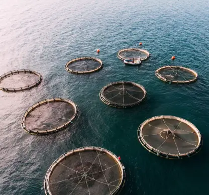 Biozing Lab - Shrimp Healthcare & Aquatic Biotechnology